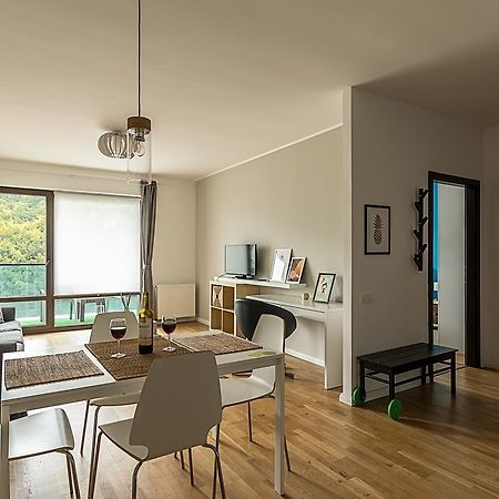 Tampa Gardens - Mountain View Apartment Брашов Экстерьер фото