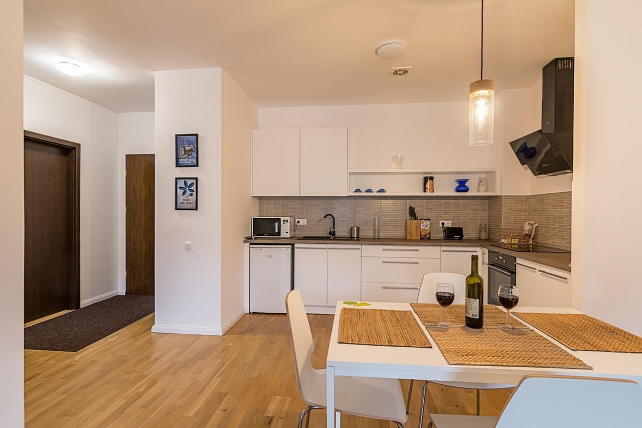 Tampa Gardens - Mountain View Apartment Брашов Экстерьер фото